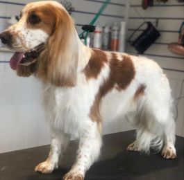 Click Here To View Larger Image