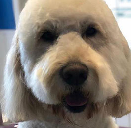 Click Here To View Larger Image