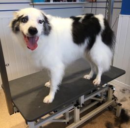 Ned is Billy&rsquo;s brother : Click Here To View Larger Image