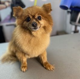 ???: Click Here To View Larger Image