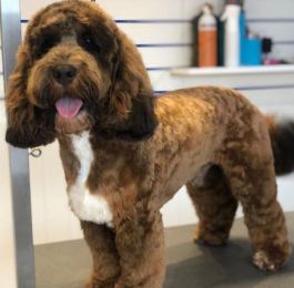 Click Here To View Larger Image