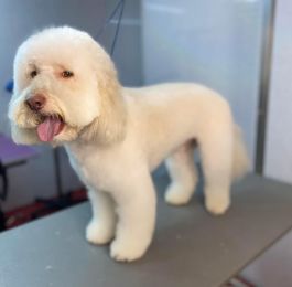 Click Here To View Larger Image