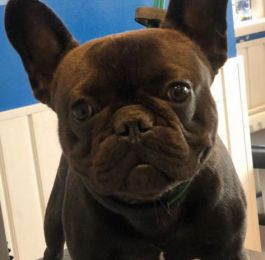 Click Here To View Larger Image