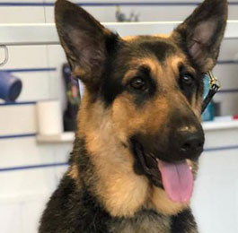 Click Here To View Larger Image